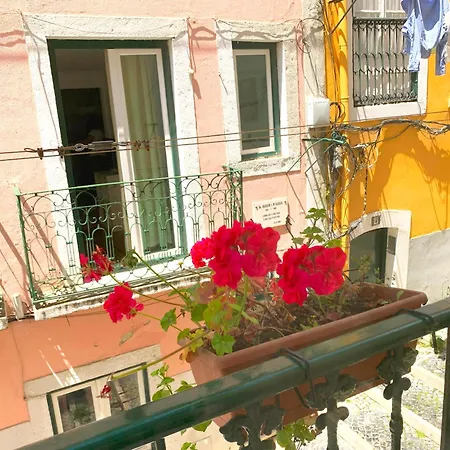 The Funicularist - In Historic Bica * Lisboa